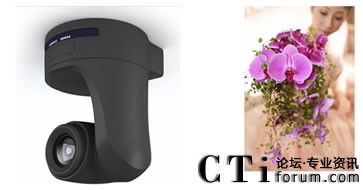 �������^���r��������